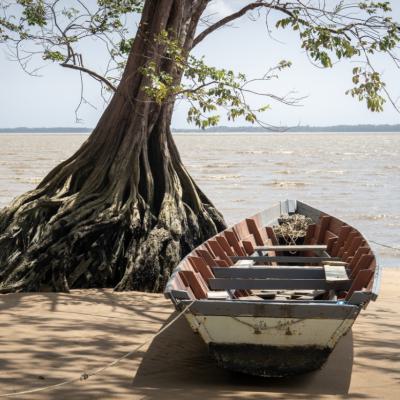Marjon Boot Op Het Strand 