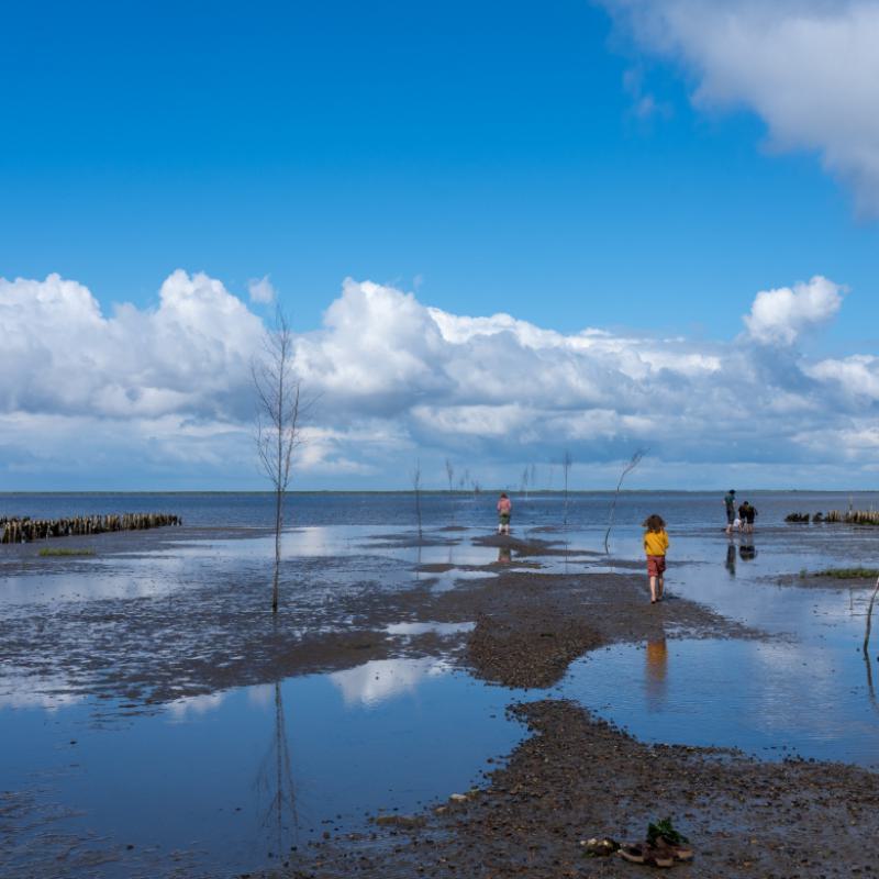 Andre De Bruijne Water 2