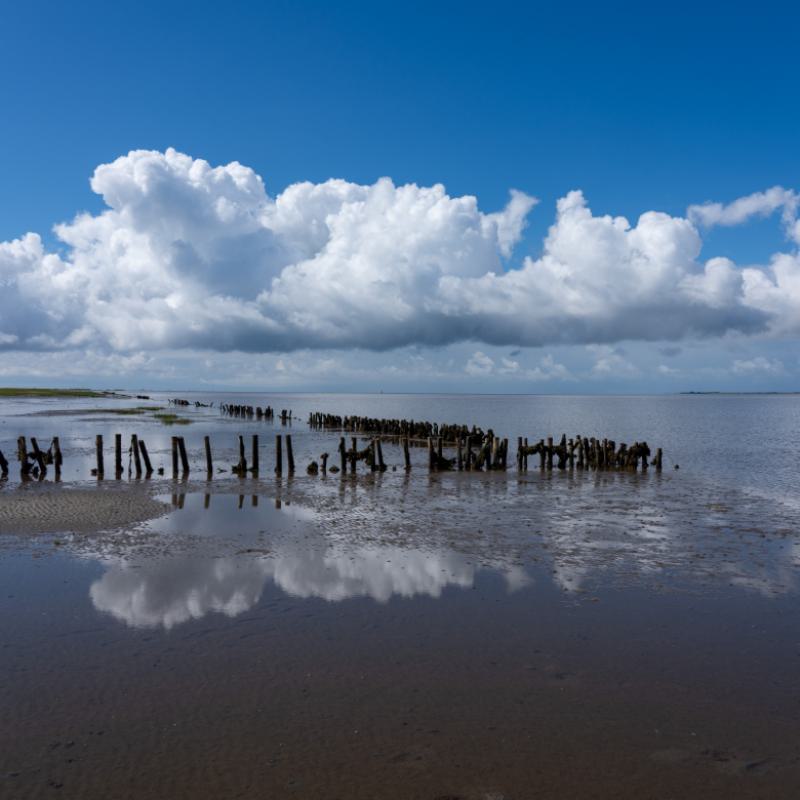 Andre De Bruijne Water