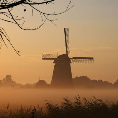 Wendy Uitgeest Molen