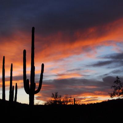 Annemiek Zoetmulder 10