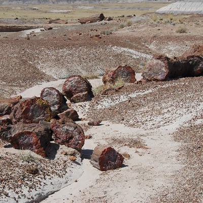 Annemiek Zoetmulder 11